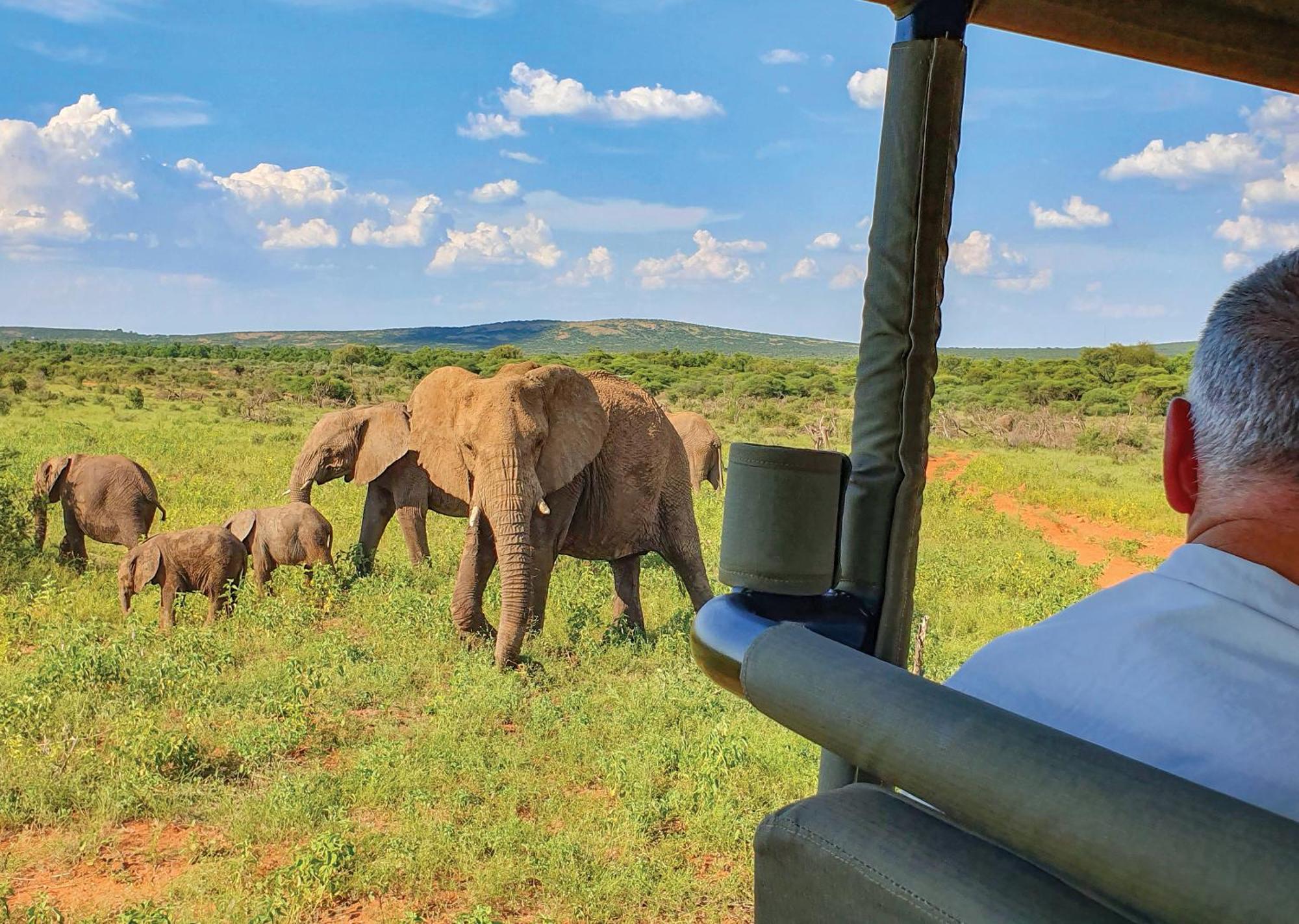 Madikwe River Lodge By Dream Resorts Madikwe Game Reserve Exterior photo