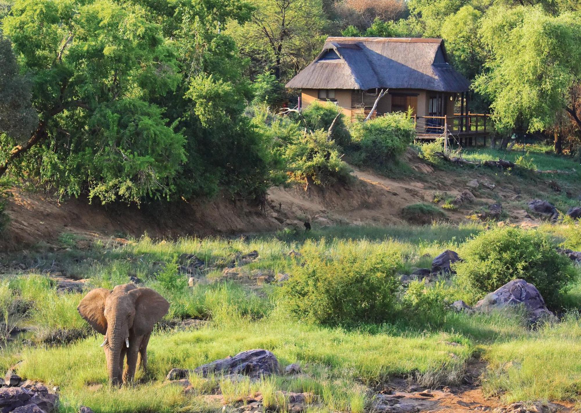 Madikwe River Lodge By Dream Resorts Madikwe Game Reserve Room photo
